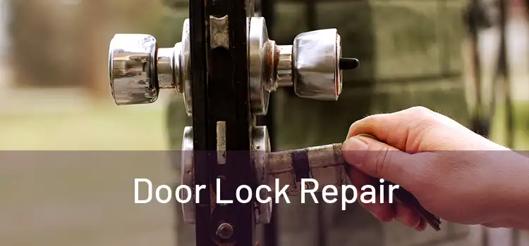 Door Lock Repair